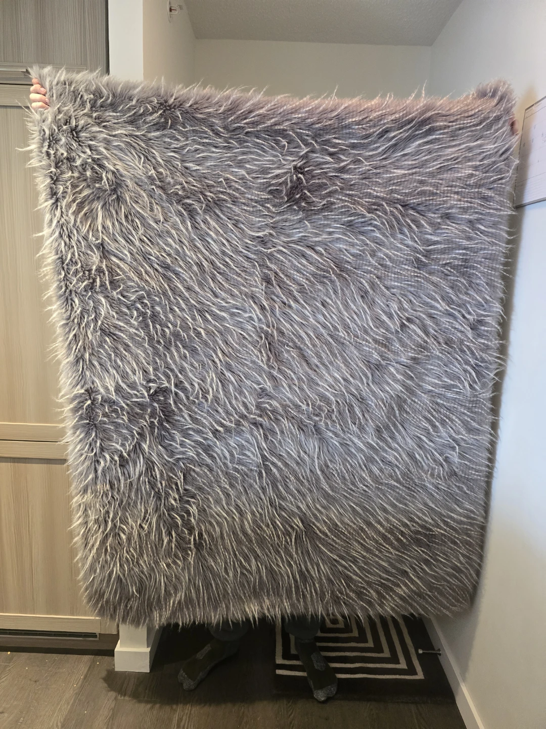 Free blanket