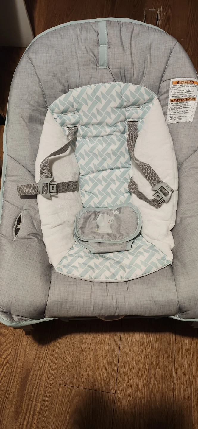 Baby Rocker/Bouncer Seat - photo 2