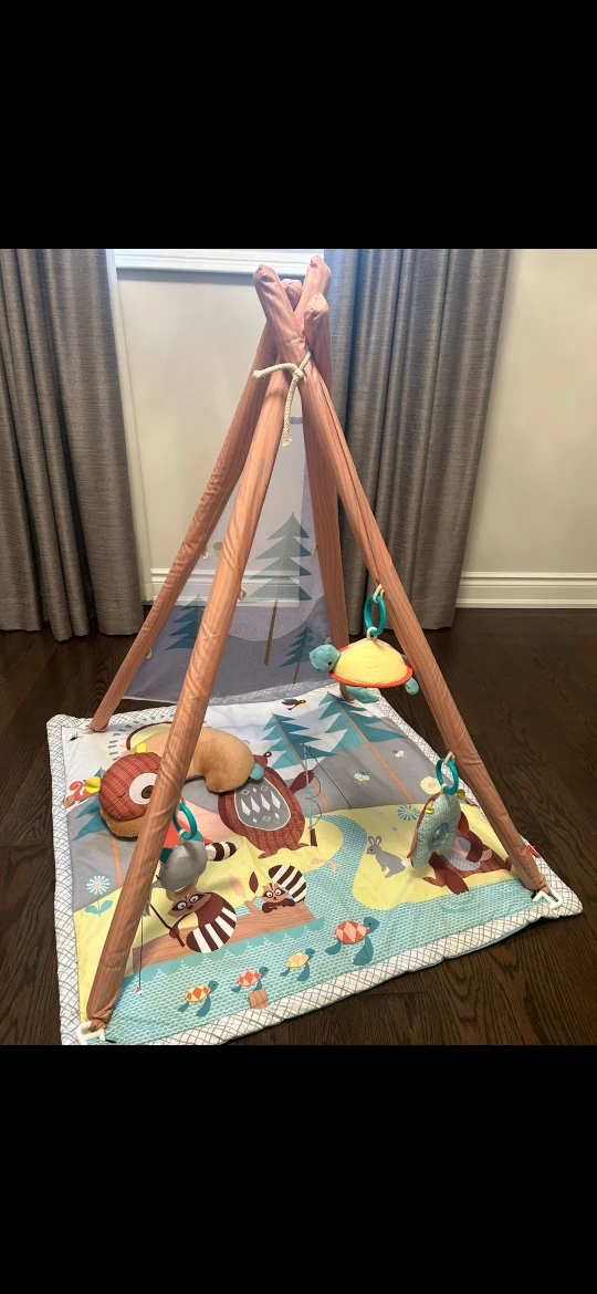 Fisher-Price Woodland Dreams Play Gym - photo 4