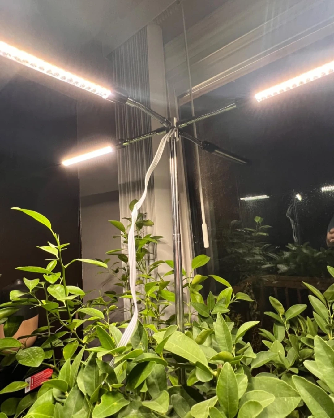Full Spectrum LED Grow Light Stand - photo 2