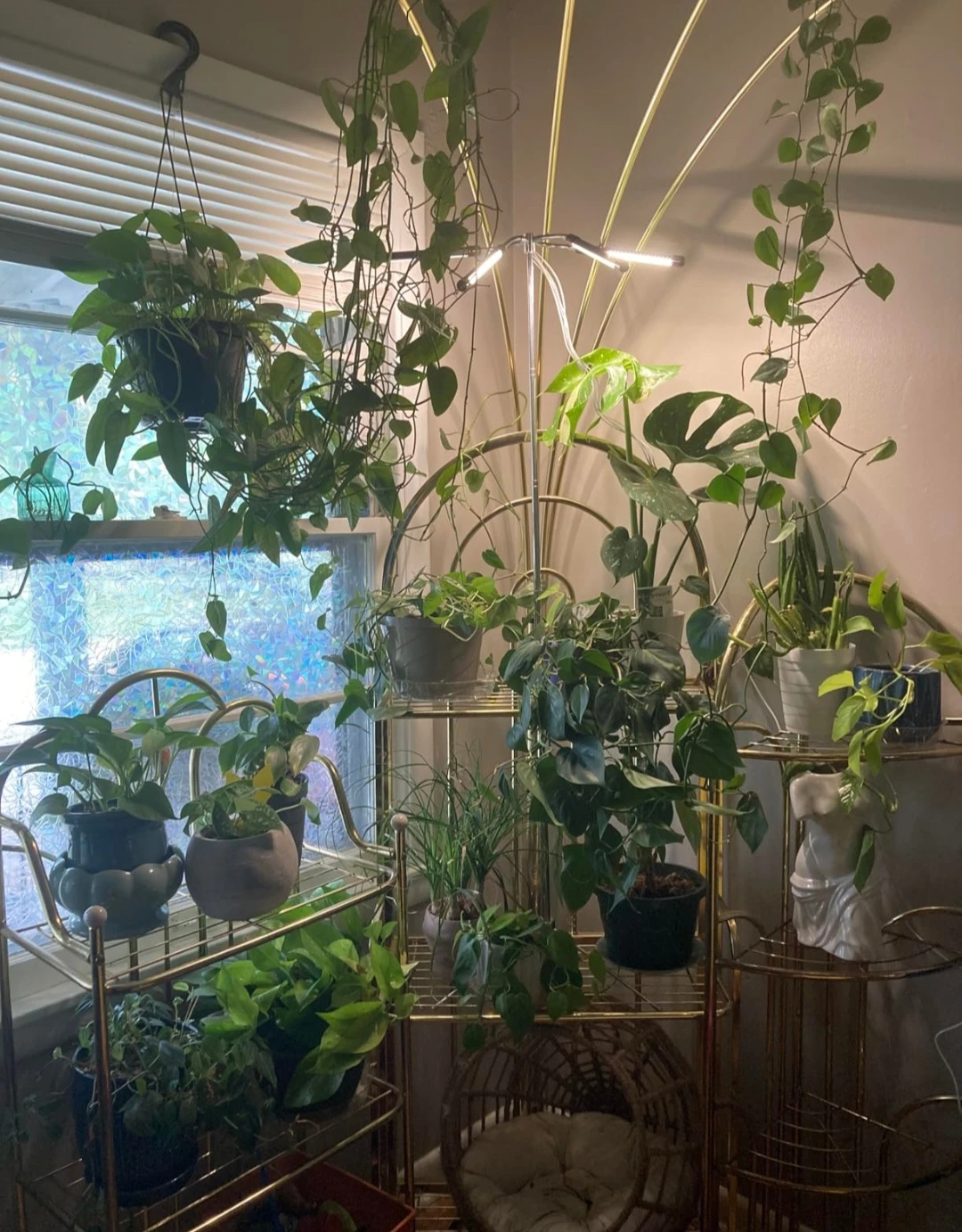 Full Spectrum LED Grow Light Stand - photo 4