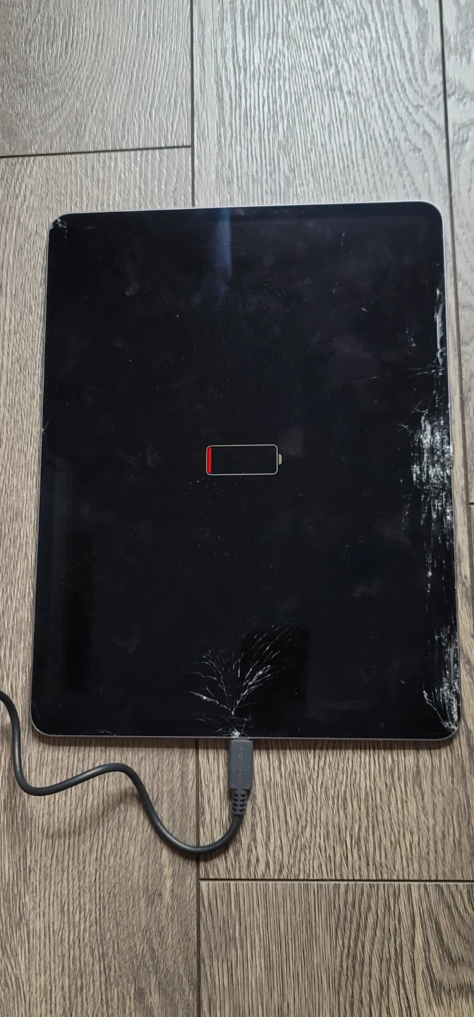 iPad Pro 11-inch (2nd Gen) - Cracked Screen - photo 4