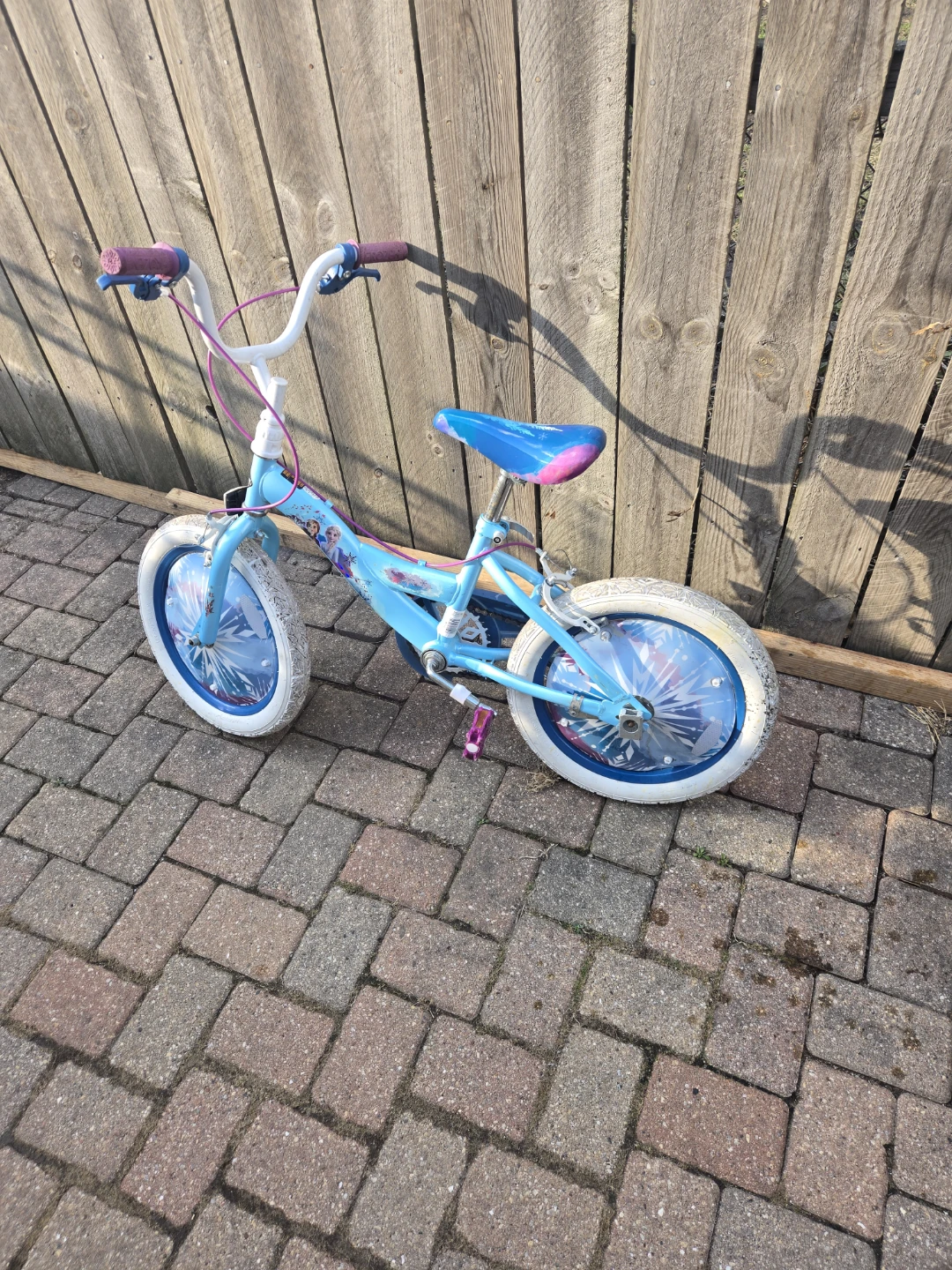 Frozen Kids Bike