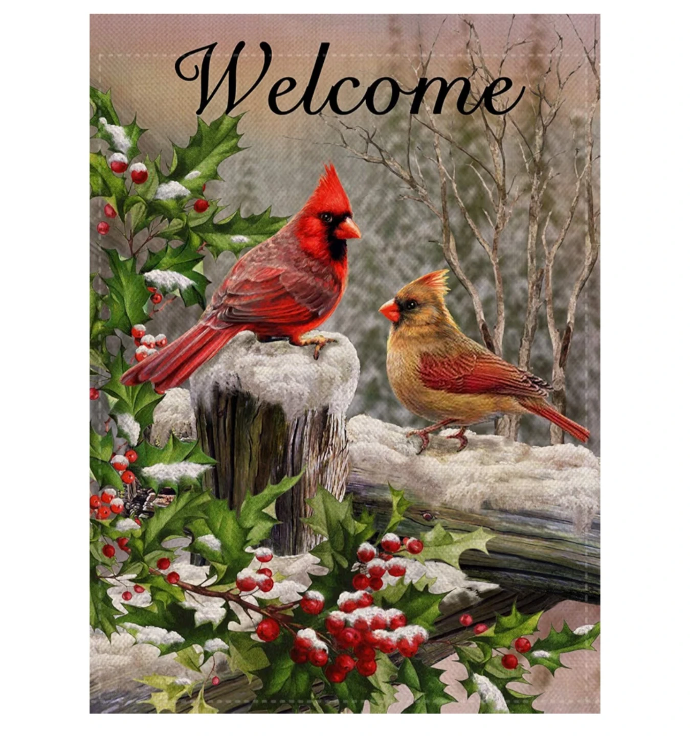 🥕Welcome Cardinal Garden Flag