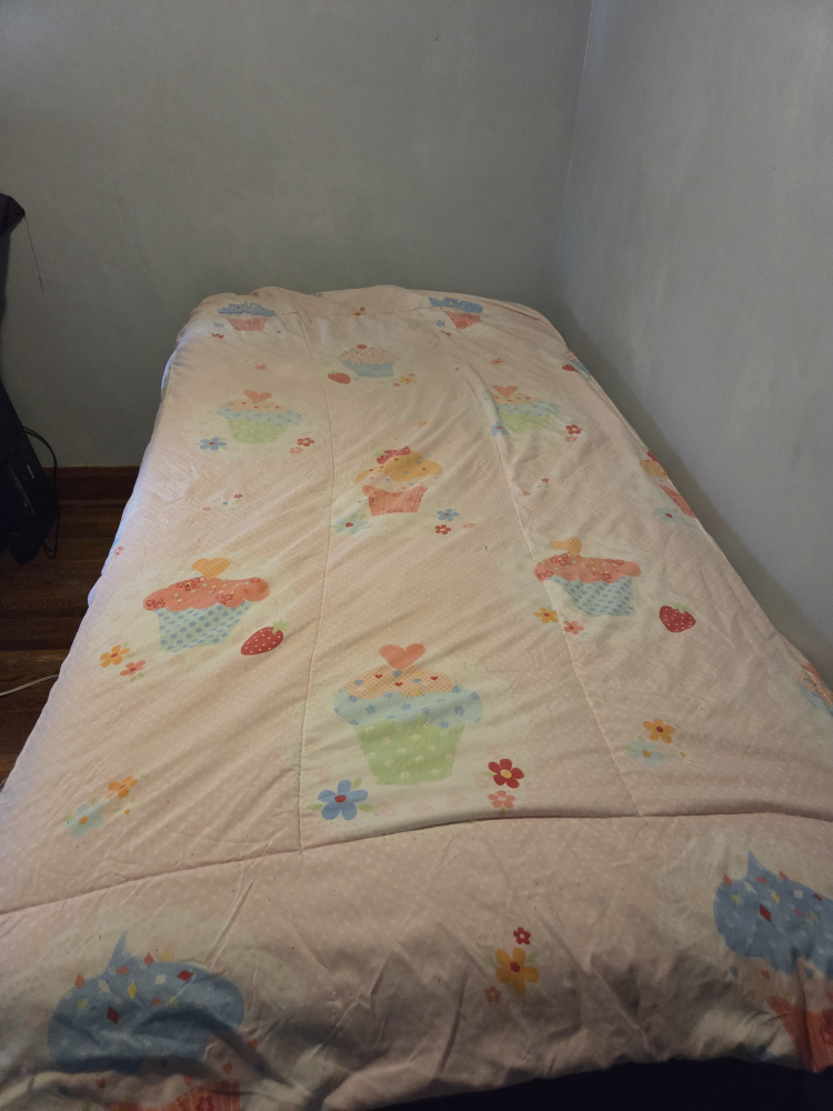 Twin Size Comforter Set - Cupcake & Heart Pattern