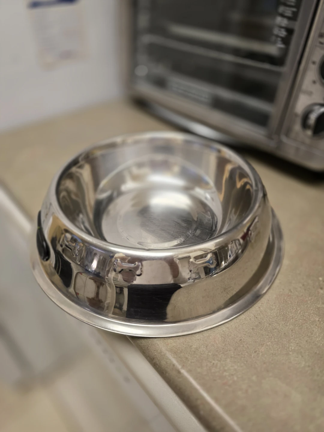 Large Stainless Steel Pet Bowl