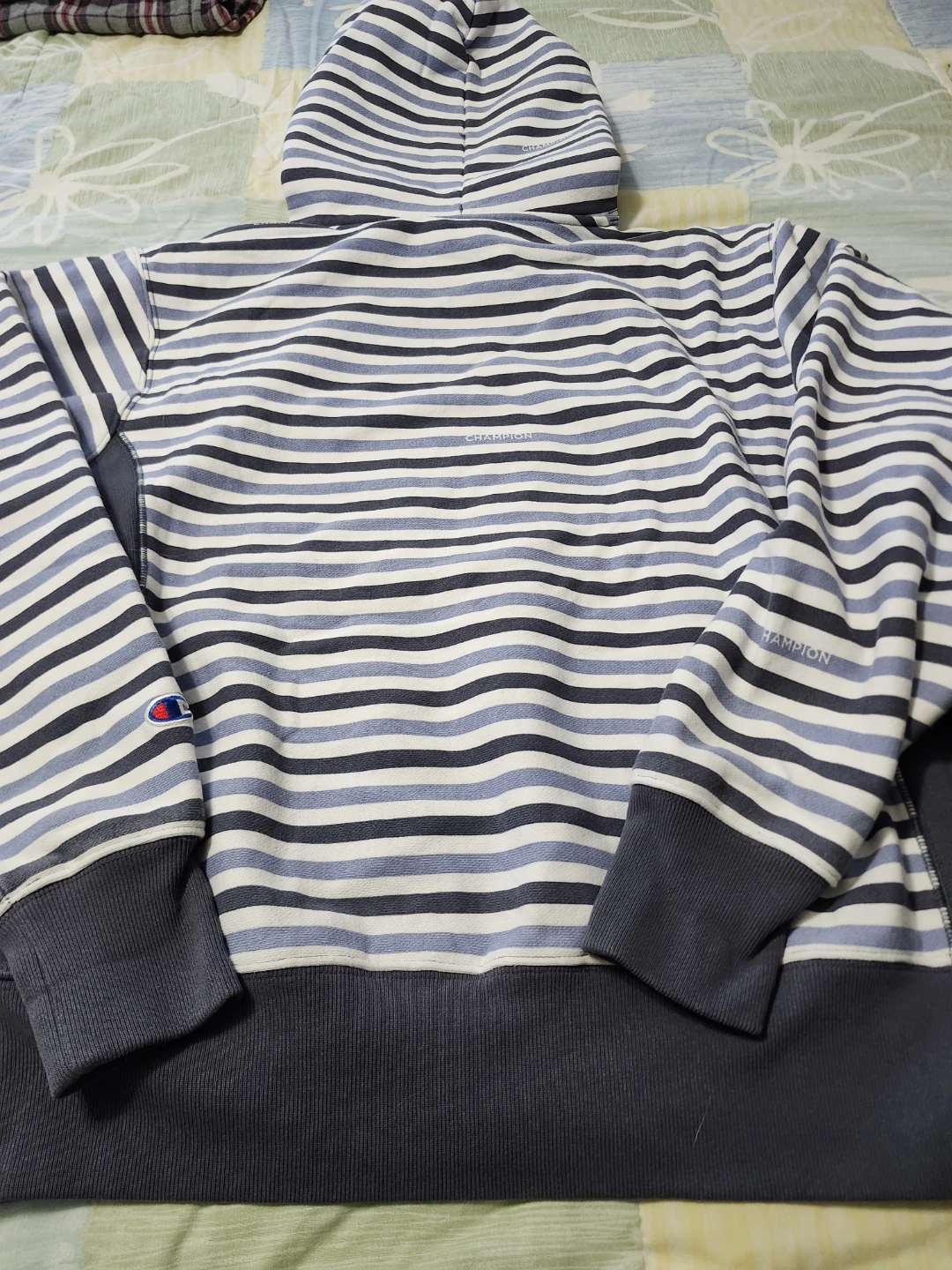 Champion Reverse Weave Striped Hoodie size Medium - photo 3