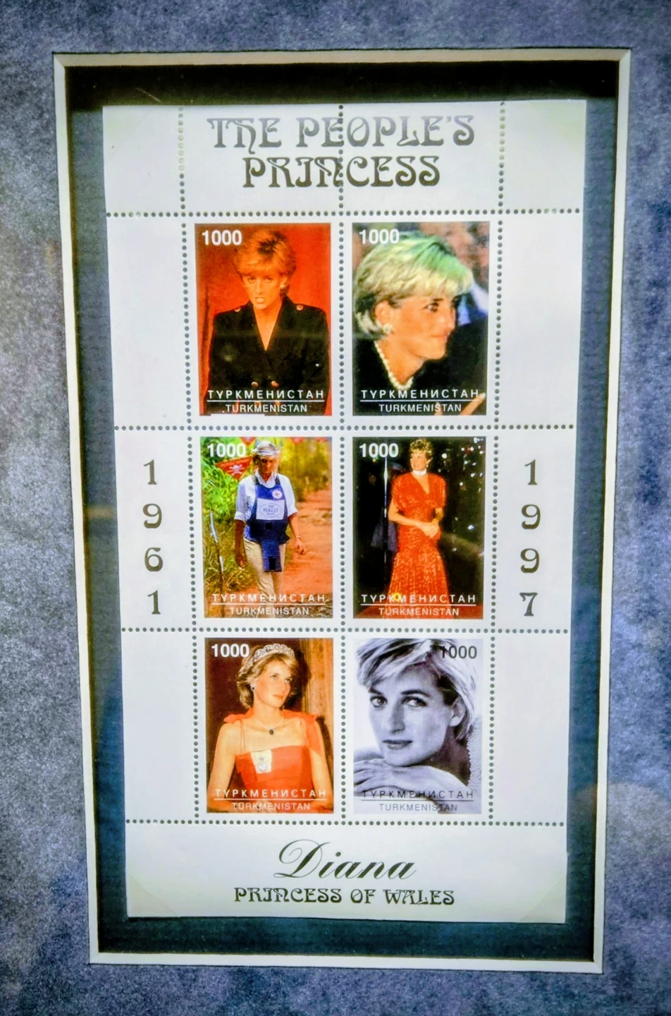 Elton John & Princess Diana Memorabilia Framed Display - photo 3