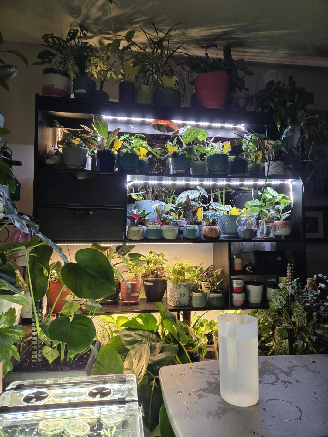Shelving Unit. Used as Plant Stand - photo 2