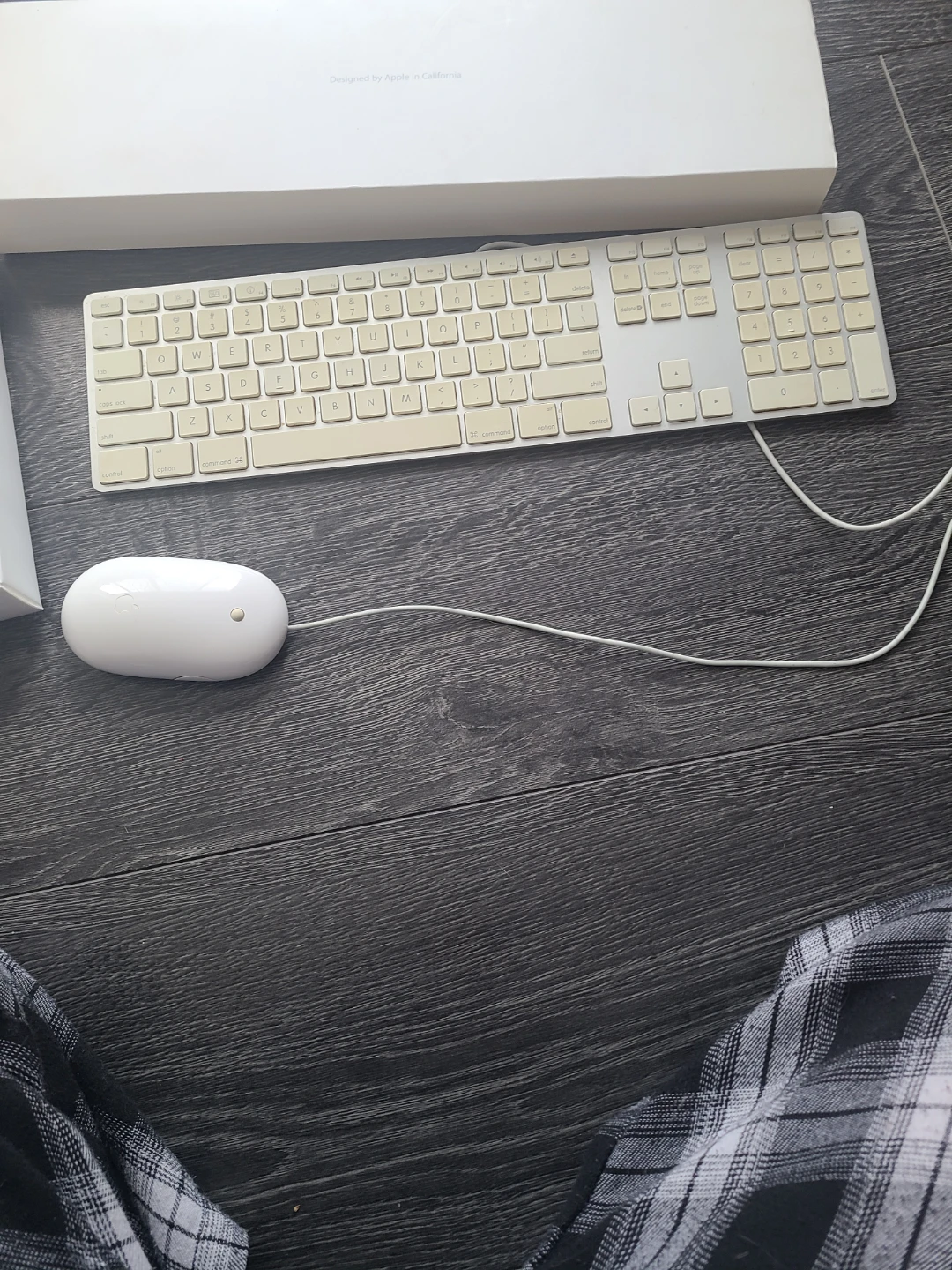 Apple Wired Keyboard and Mighty Mouse