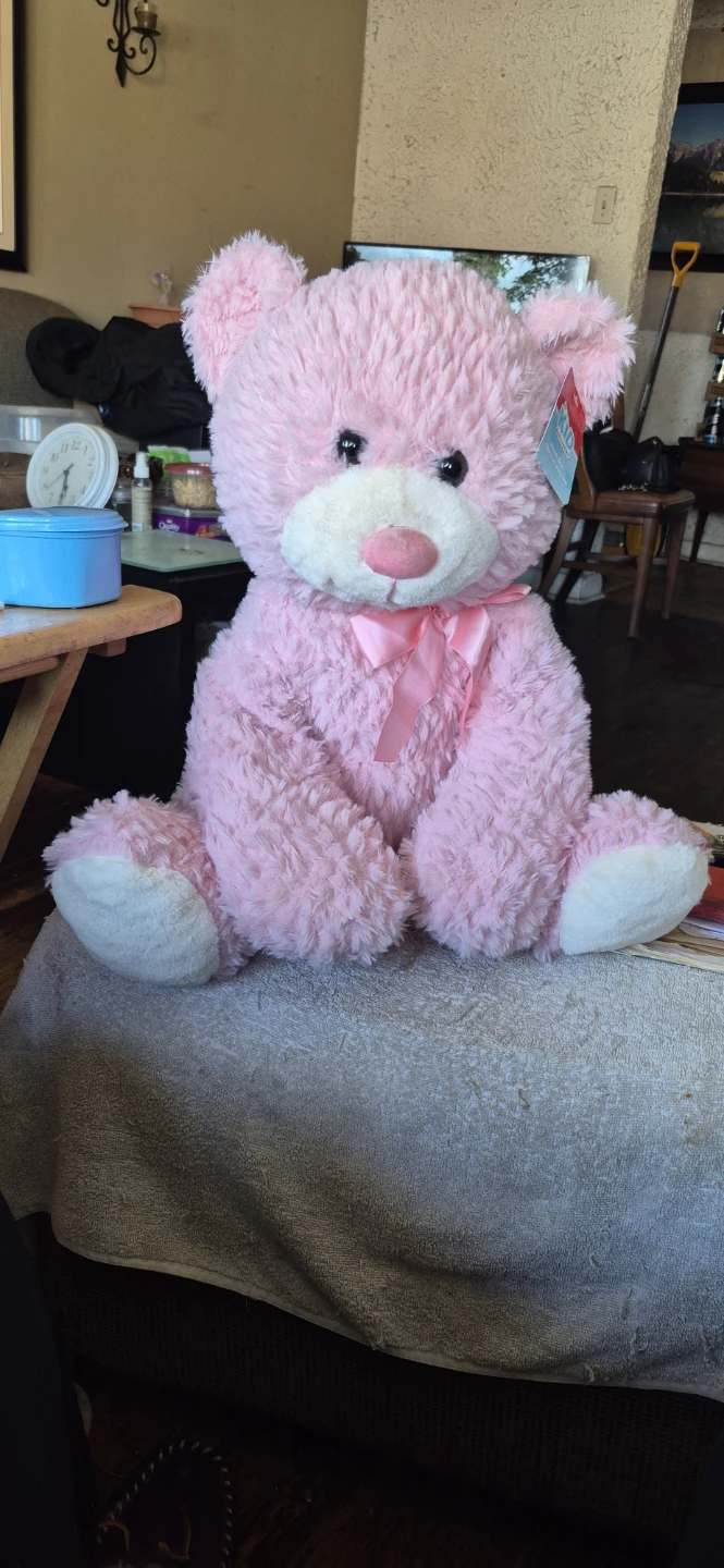 Kid Connection Pink Plush Teddy Bear with Bow