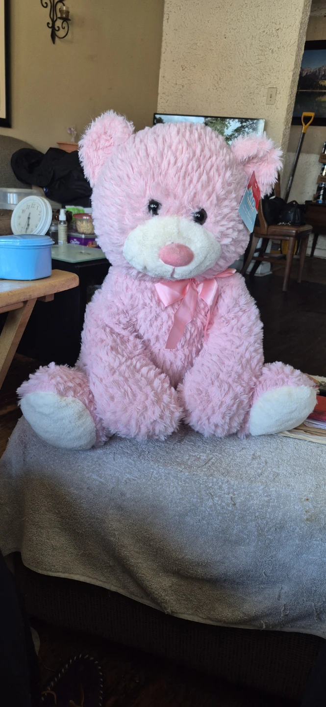 Kid Connection Pink Plush Teddy Bear with Bow - photo 4