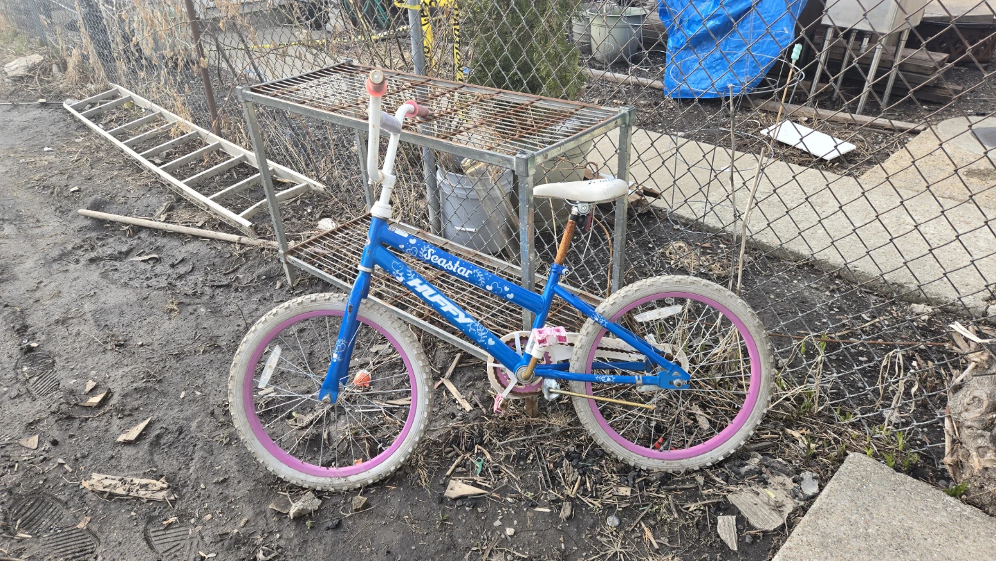 Huffy Seastar Kids Bike Blue Pink Rims
