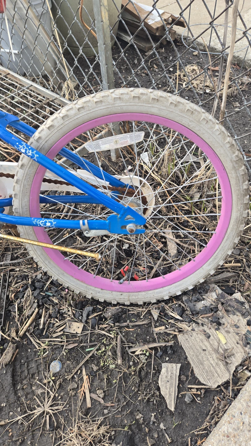 Huffy Seastar Kids Bike Blue Pink Rims - photo 3
