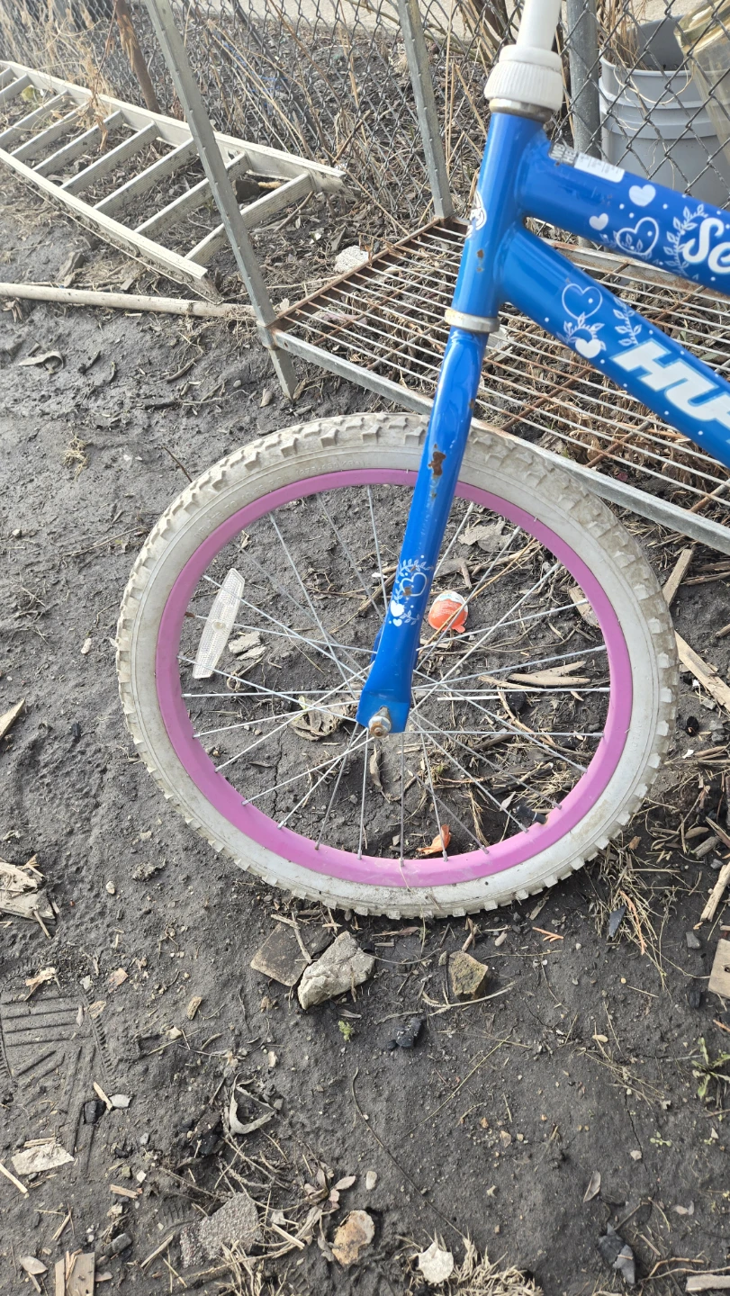 Huffy Seastar Kids Bike Blue Pink Rims - photo 4