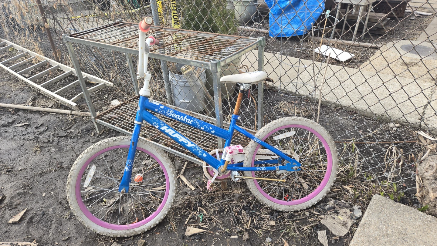 Huffy Seastar Kids Bike Blue Pink Rims - photo 5