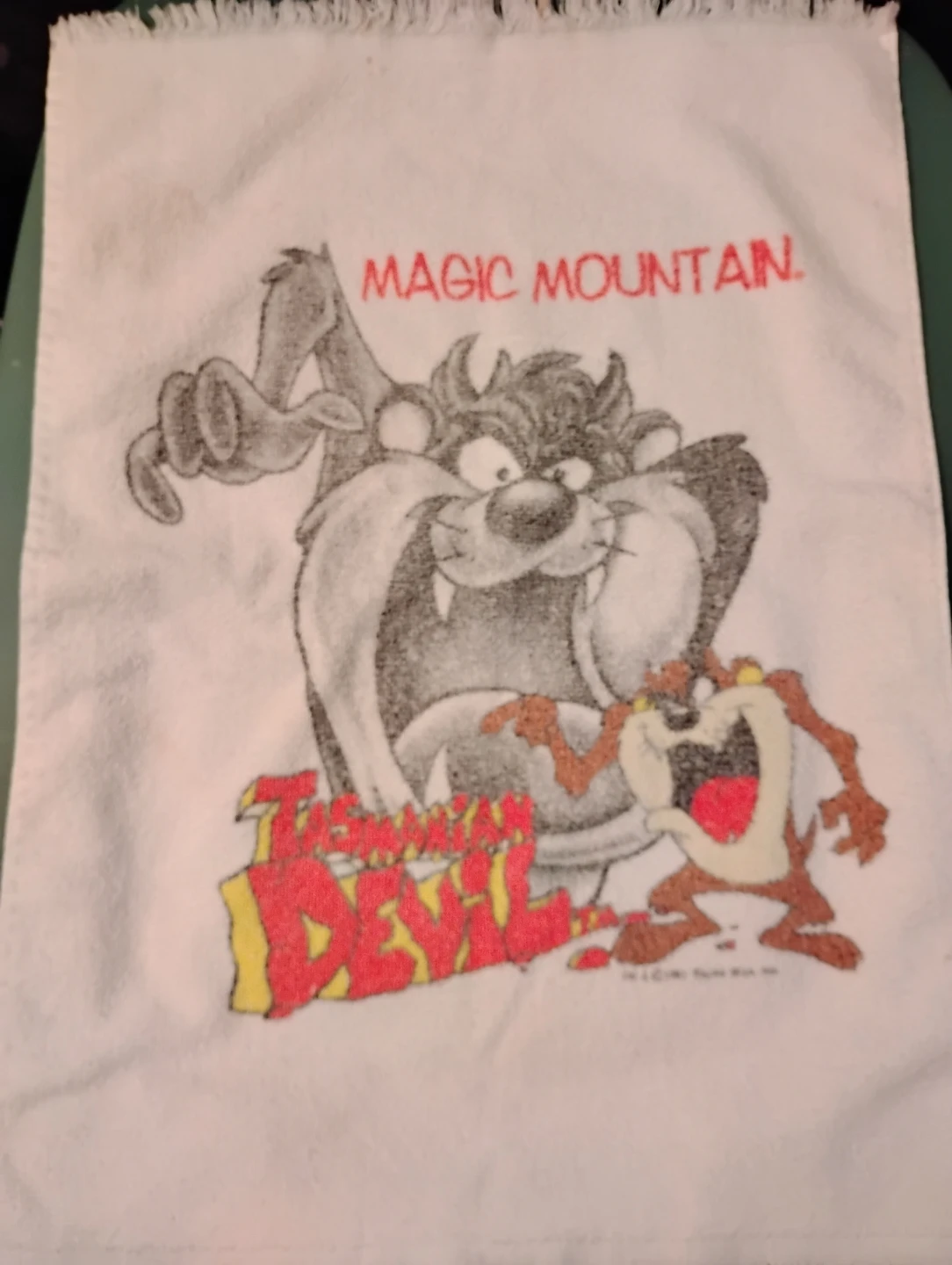 VINTAGE! NEW! MAGIC MOUNTAIN TASMANIAN DEVIL TOWEL, WARNER BROS
