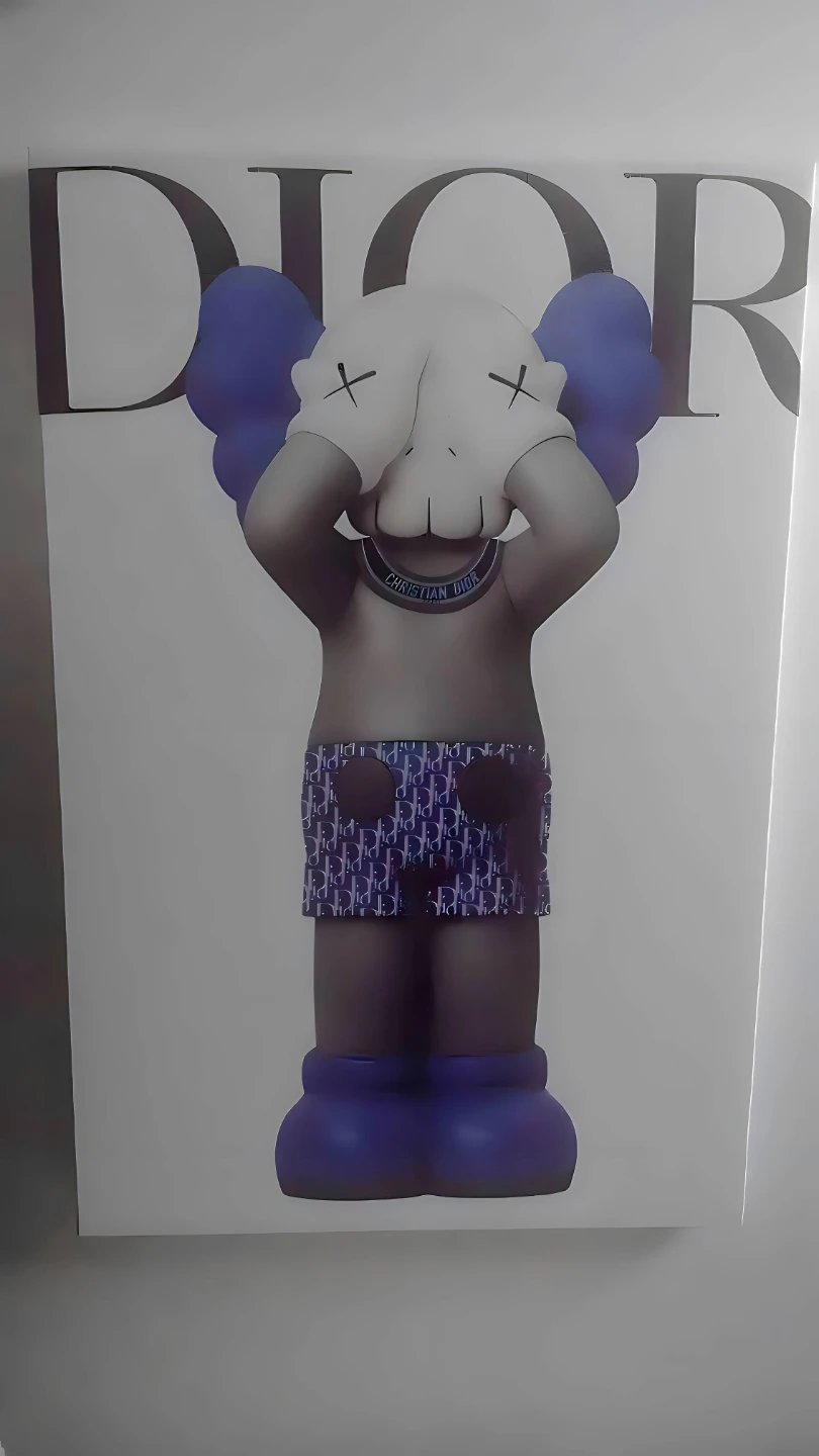 DIOR x KAWS Artwork