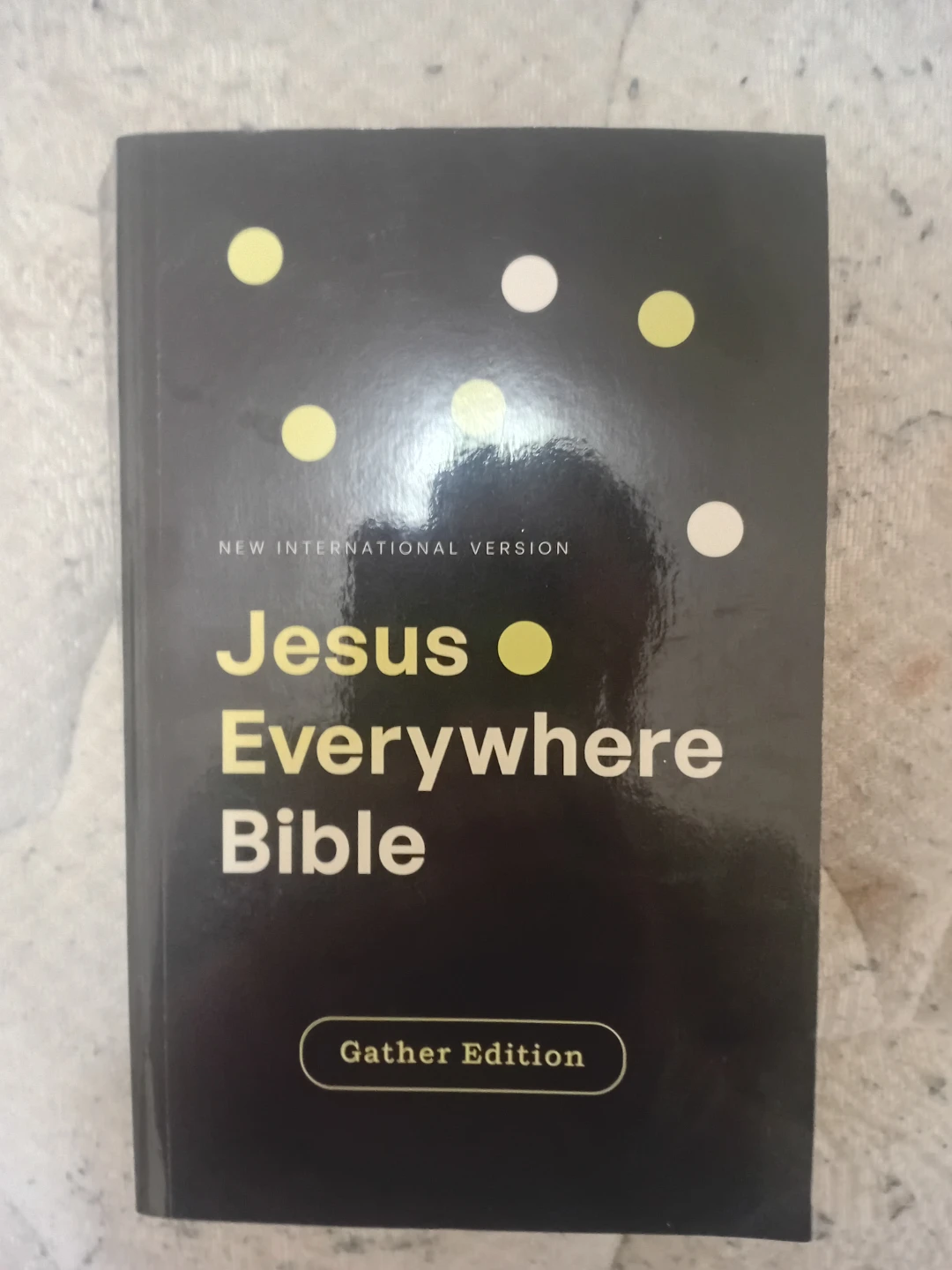 Jesus Everywhere Bible - NIV