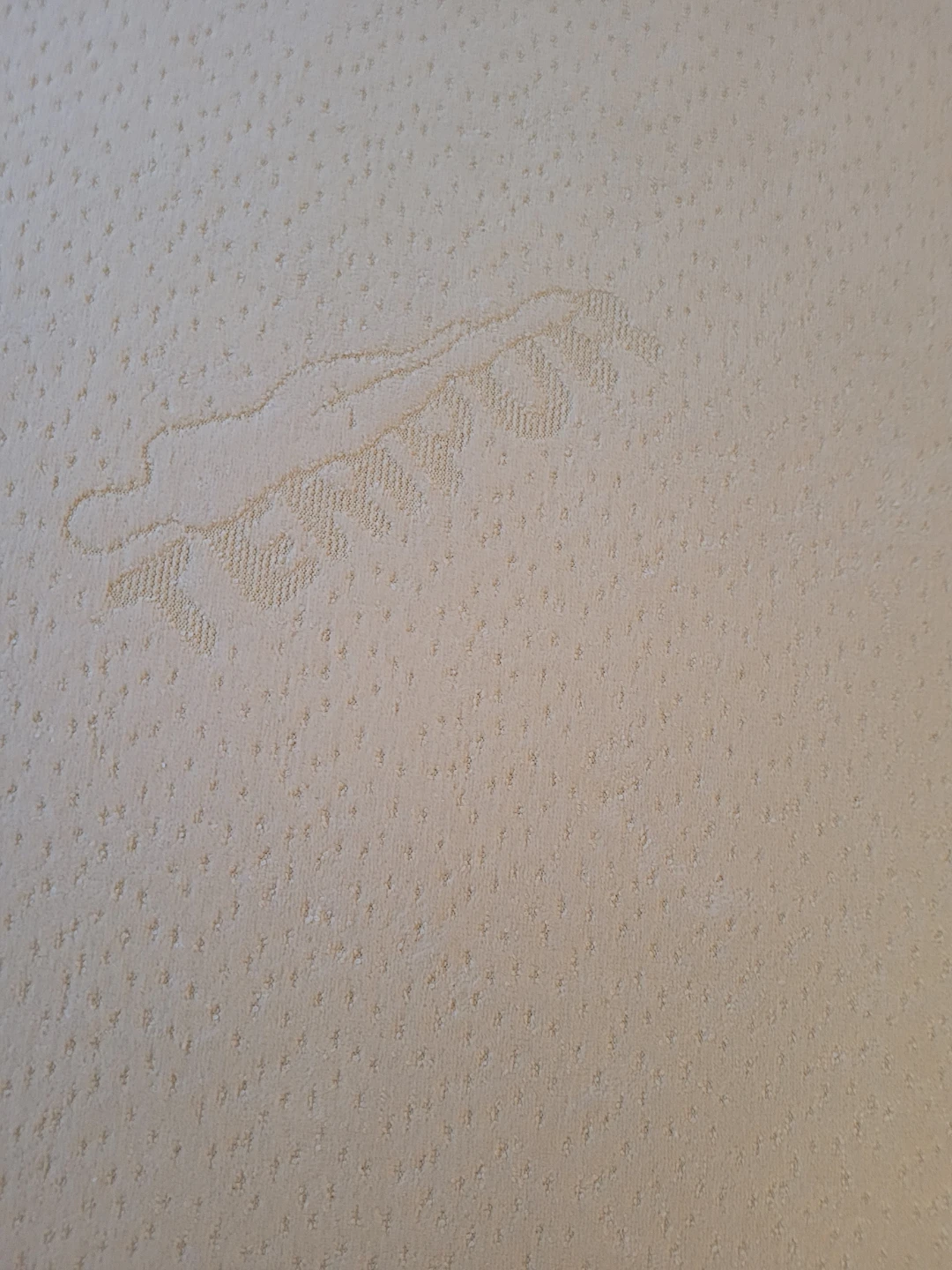 Queen Classic Tempur-Pedic Mattress with removable cover - photo 3