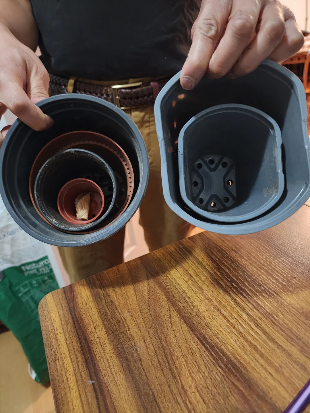 Plant pots
