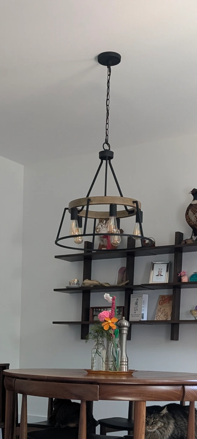 Industrial Chandelier Pendant Light Fixture - photo 3