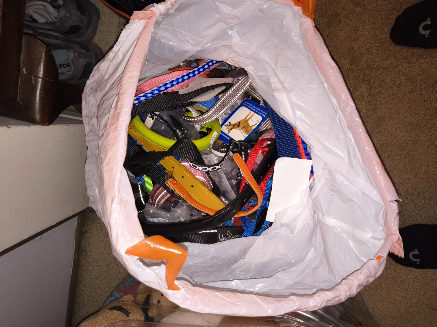 Lot of Dog Collars and Leashes