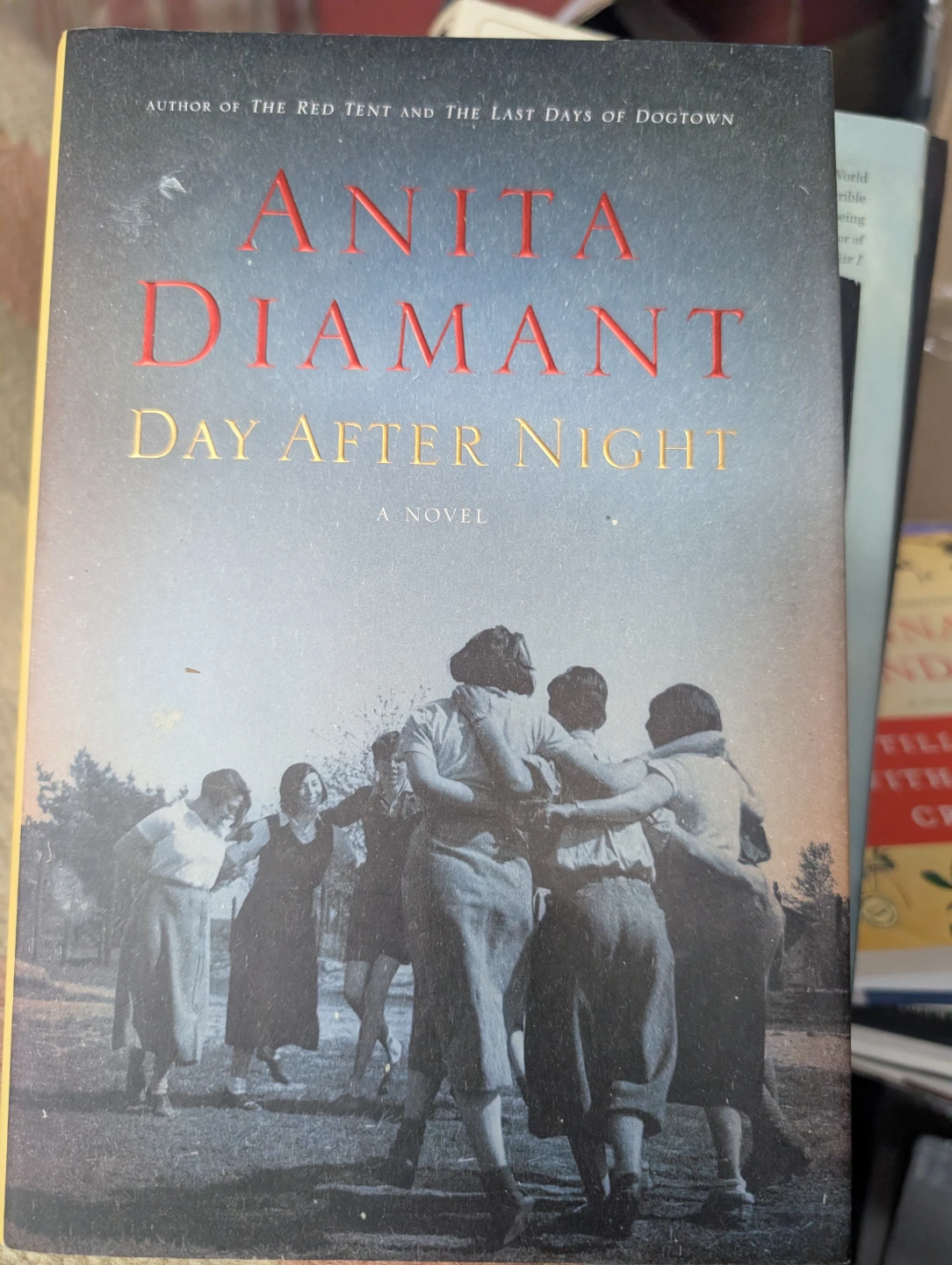 Anita Diamant Day After Night Novel - photo 3