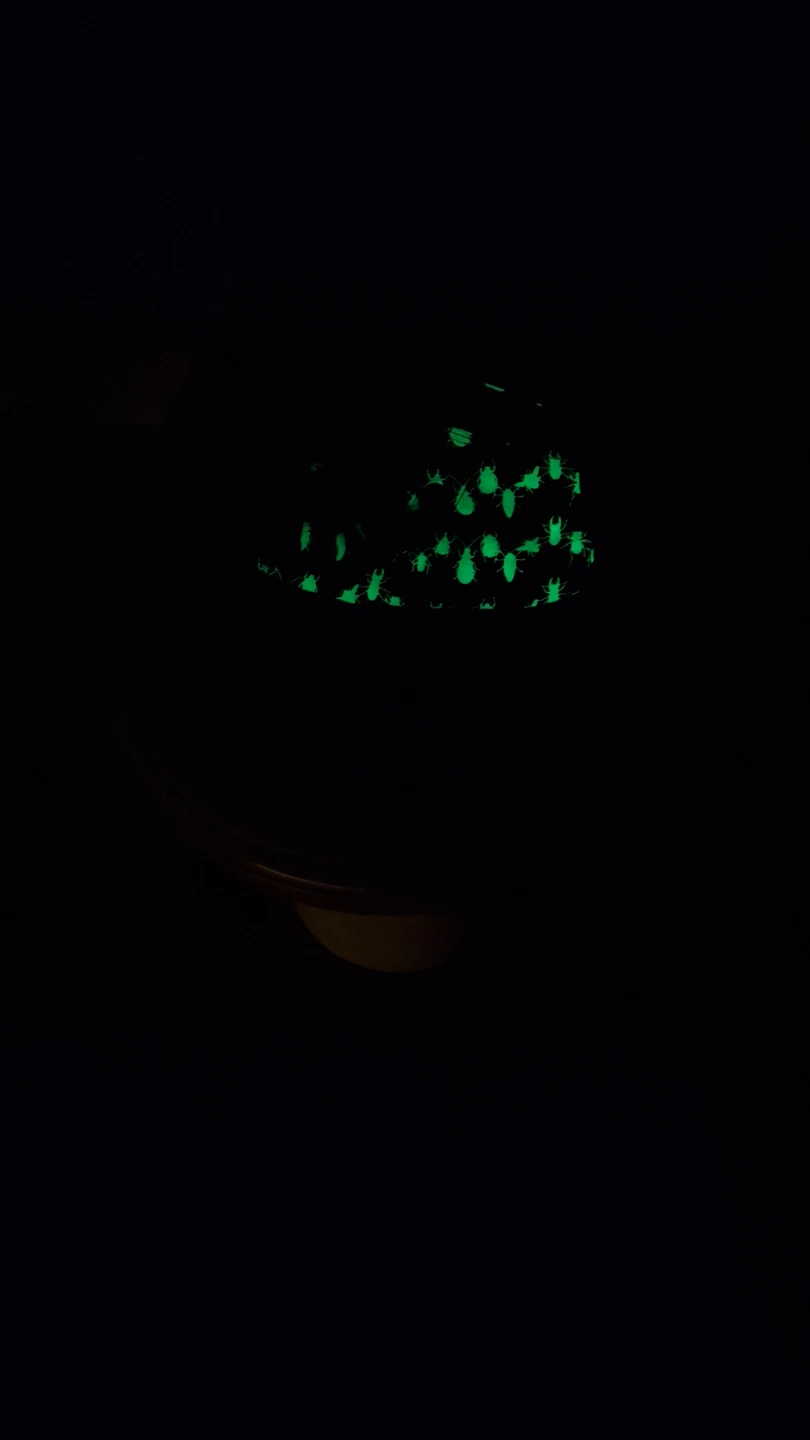 Boys Size 2 Converse Glow in the dark Hi-Tops - photo 4
