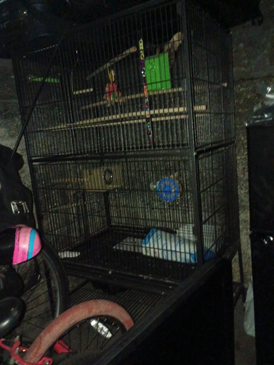 Tall Black Bird Cage