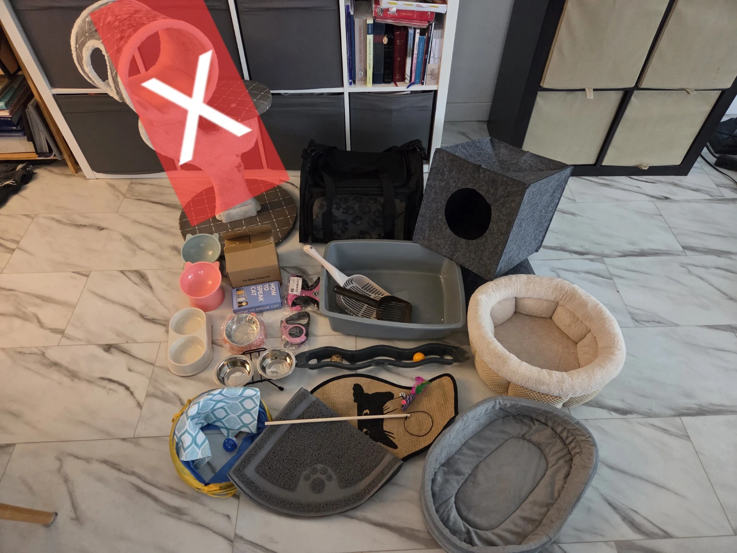Cat and kitten supplies - photo 3