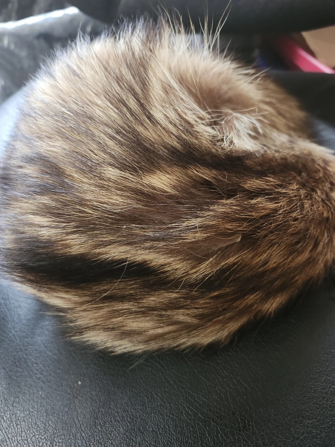 Vintage Evans Chicago Fur Stole