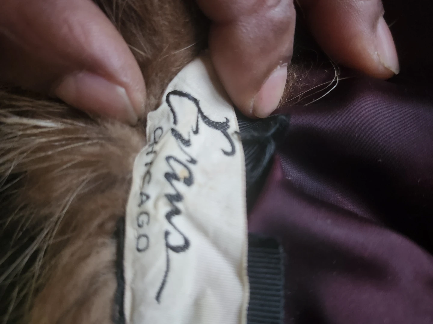 Vintage Evans Chicago Fur Stole - photo 2