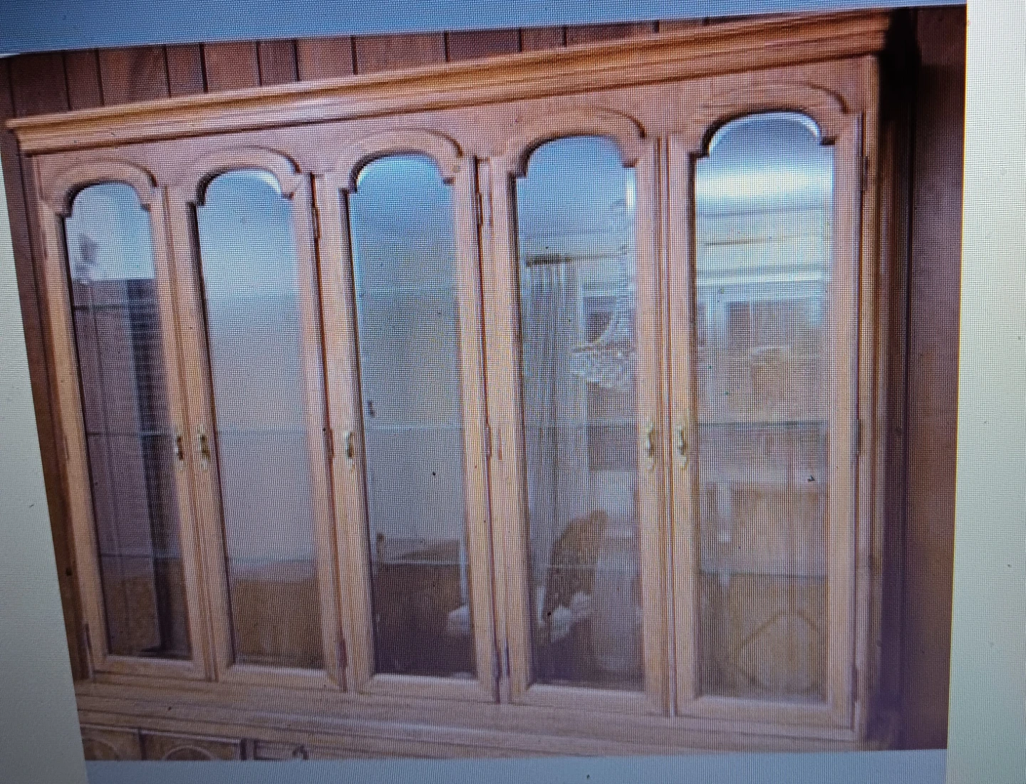 Tomlinson Furniture China Cabinet with Glass Doors - photo 3