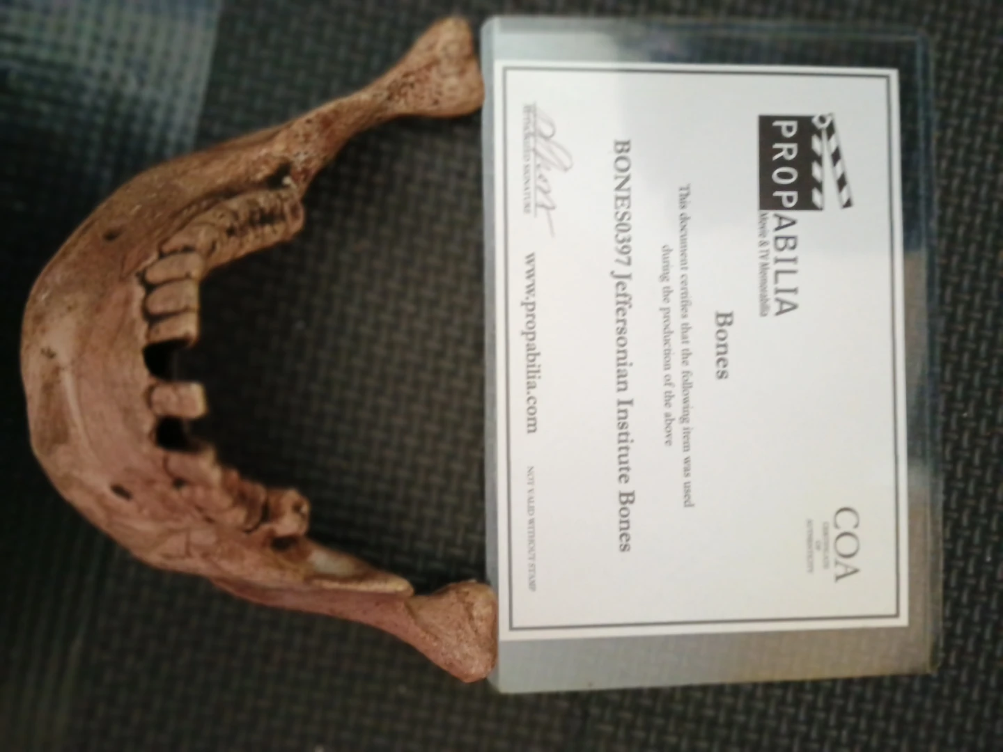 Propabilia Jeffersonian Institute Bones Prop - photo 2