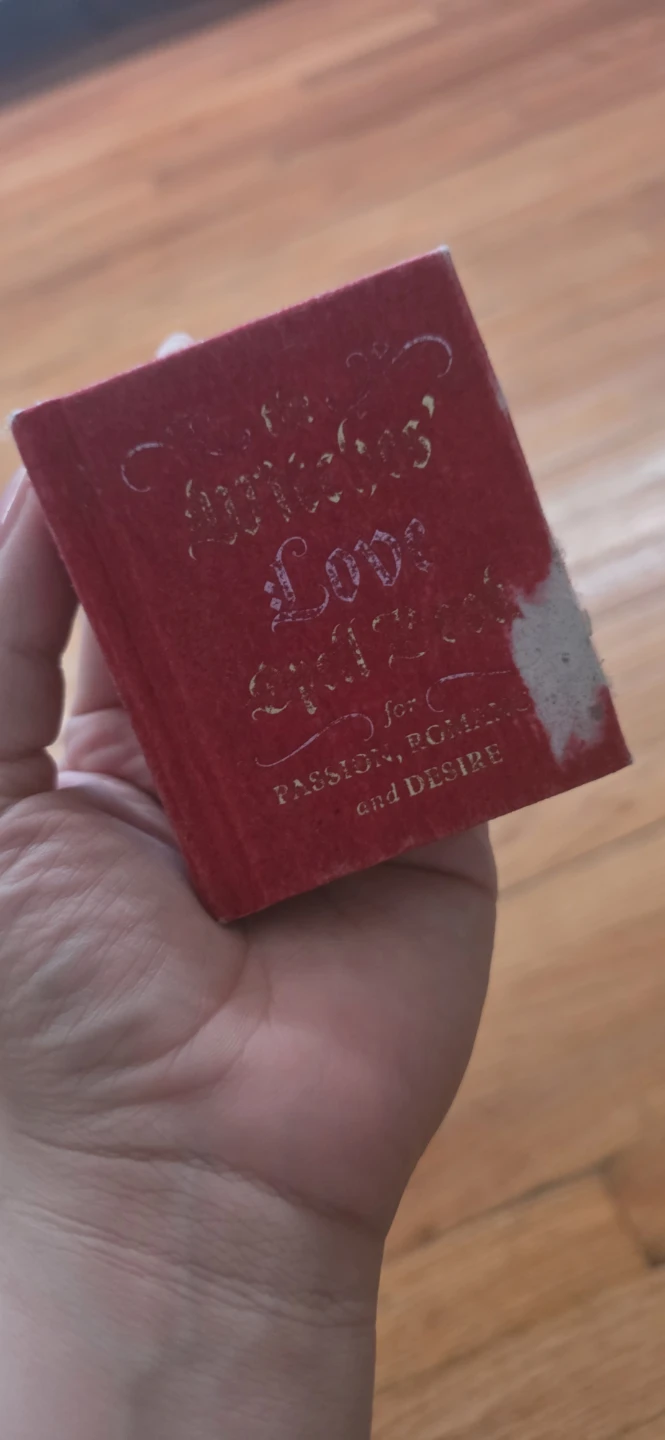 The Witches' LOVE Spell Book for Passion Romance and Desire - photo 3