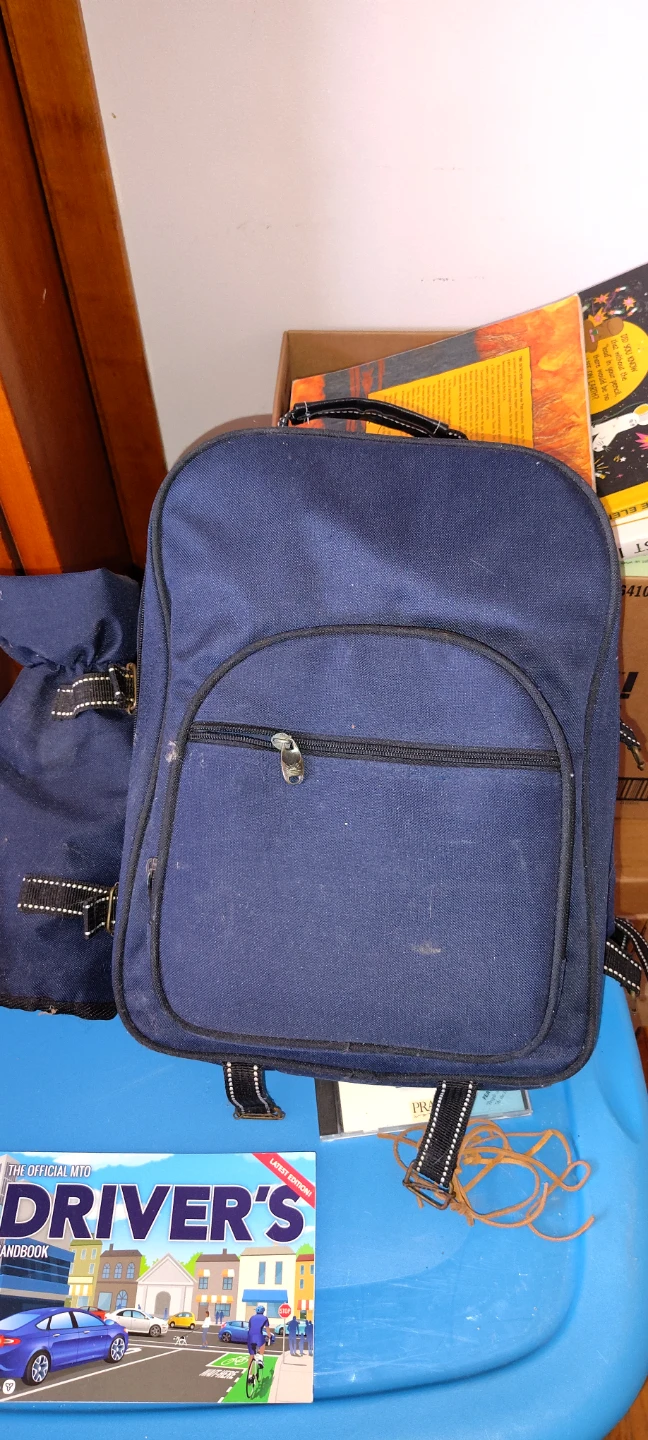 Blue Insulated Picnic Backpack with Utensils and Glasses