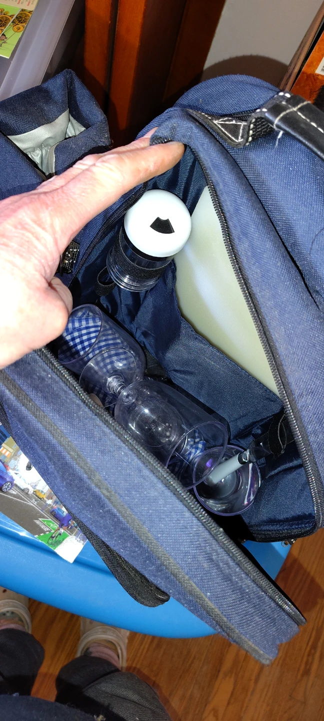 Blue Insulated Picnic Backpack with Utensils and Glasses - photo 4