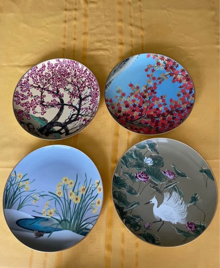 12 Beautiful Porcelain Plates Set!
