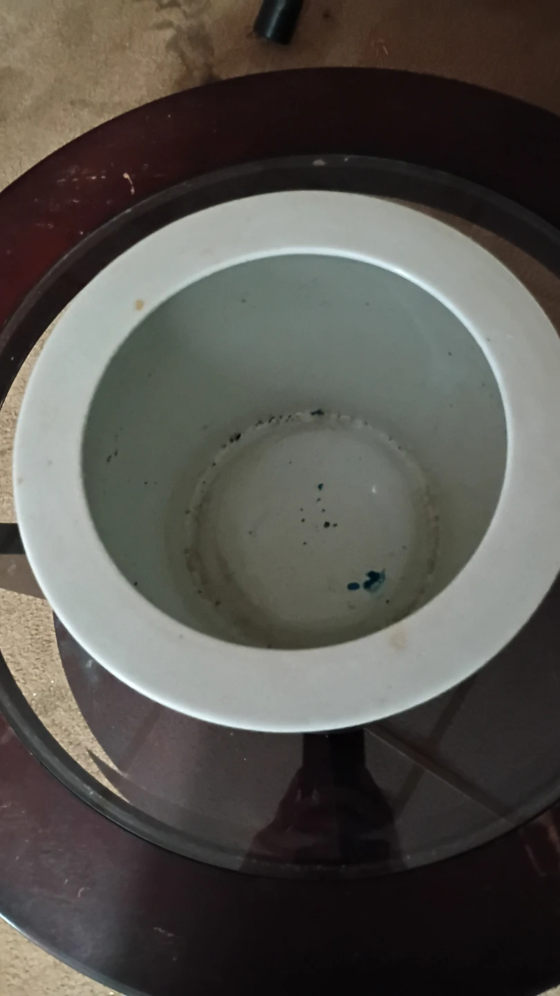 Ceramic Planter Pot with Floral Design - photo 3