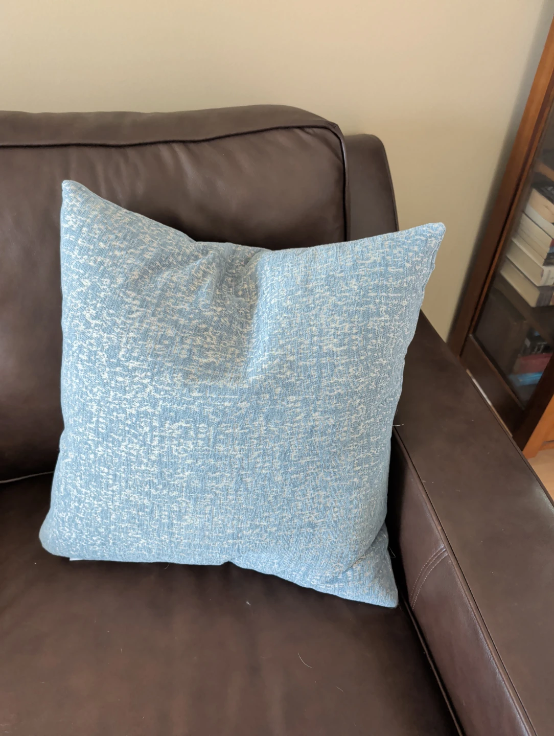 Decorative Throw Pillow