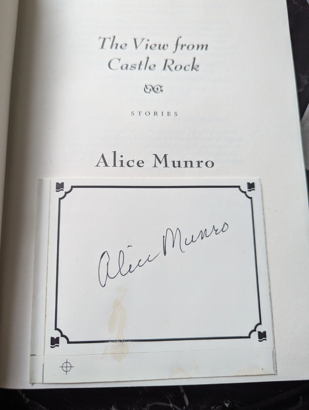 Alice Munro Book
