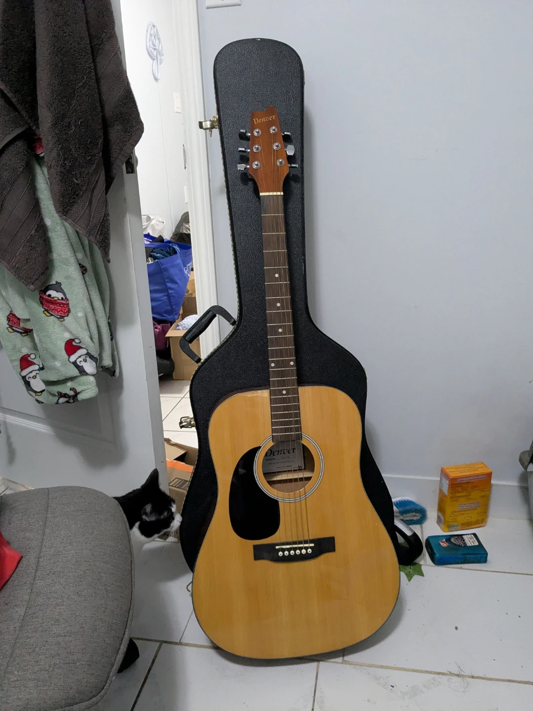 Acoustic Guitar with Case