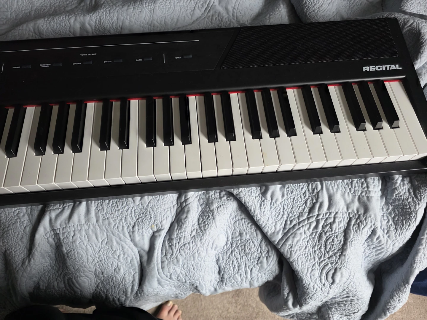 Alesis Recital Digital Piano Keyboard