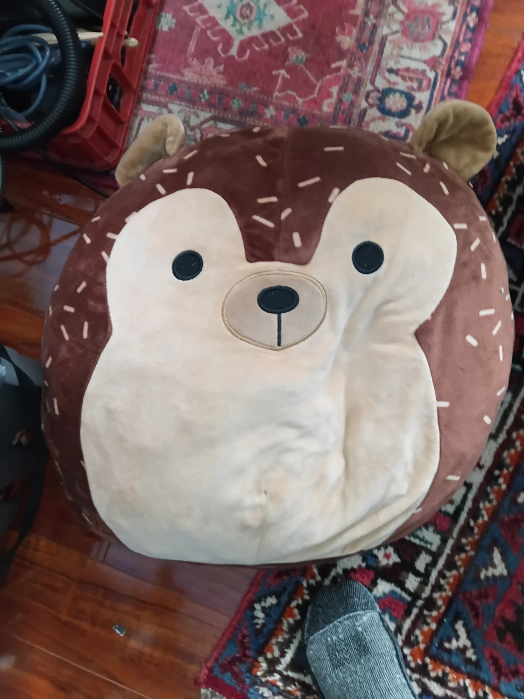 Squishmallows Hans the Hedgehog plush.