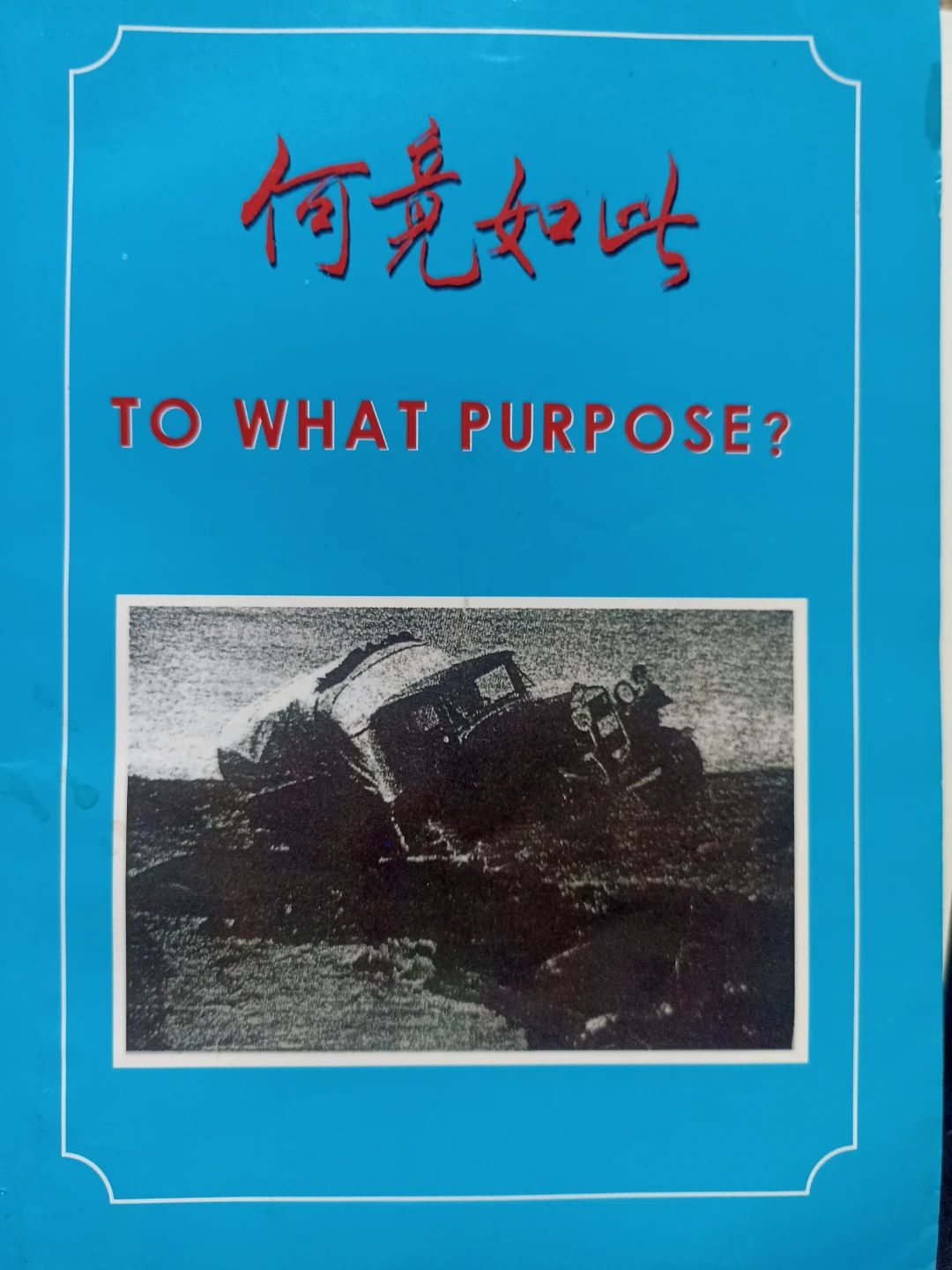 Book: TO WHAT PURPOSE?