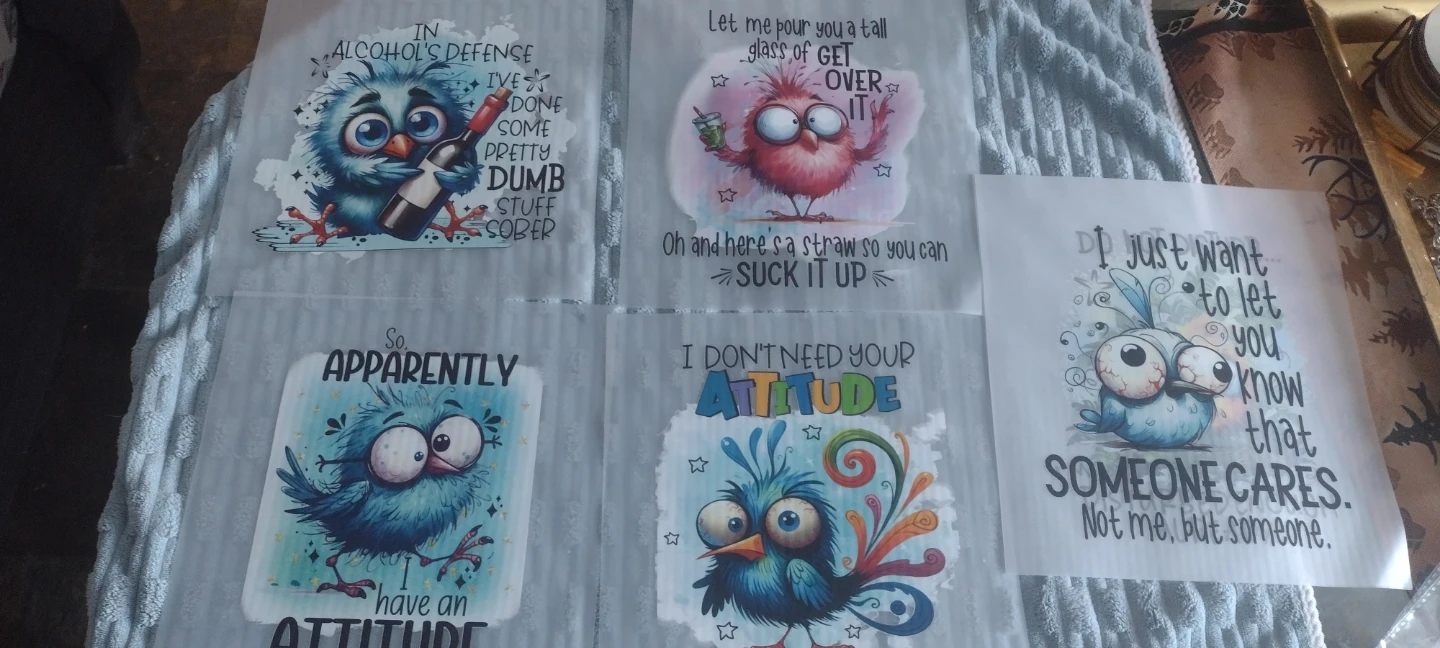 Heat Transfer Vinyl - Funny Birds & Animals