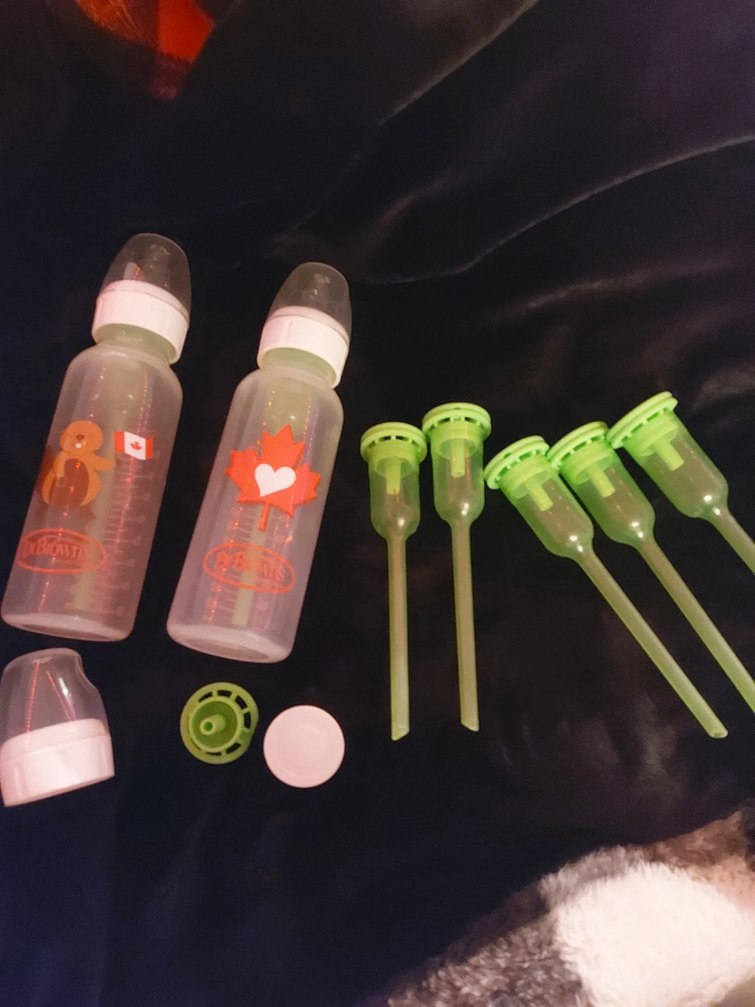 Dr. Brown's Baby Bottles 8oz - 2 Pack