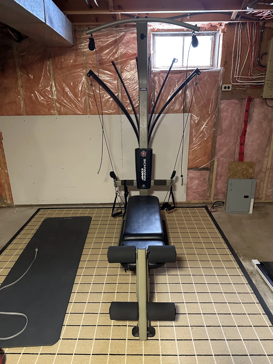 Schwinn Comp Power Tower