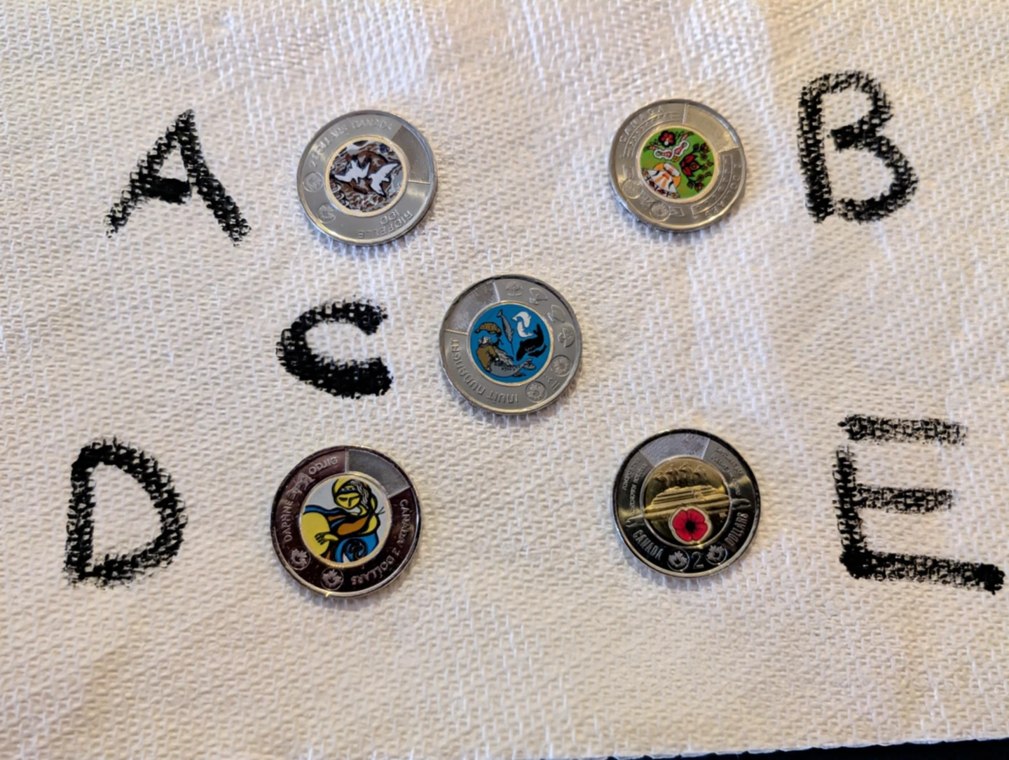 Collection of Canadian Toonie Coins - All for $20